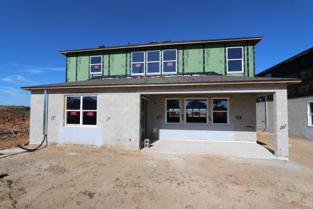 New construction Single-Family house 38326 Tobiano Loop, Dade City, FL 33525 Casanova- photo 46 46