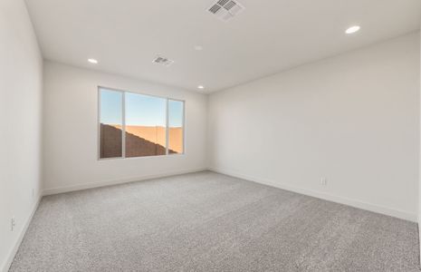 New construction Single-Family house 1442 W Saddle Run, Apache Junction, AZ 85120 Avelino- photo 21 21