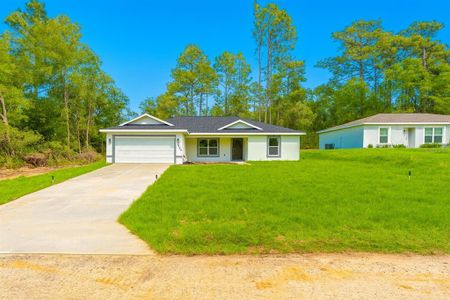 New construction Single-Family house 9299 N Tahiti Wy, Citrus Springs, FL 34433 - image