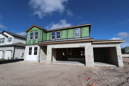 New construction Single-Family house 20050 Oriana Loop, Land O' Lakes, FL 34638 Santa Monica- photo 56 56