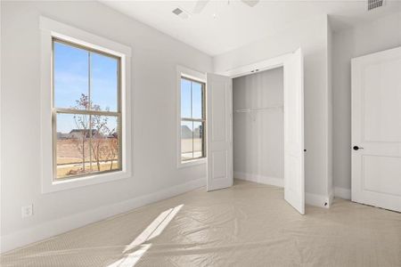 New construction Single-Family house 236 Laurel Vista Dr, Canton, GA 30114 plan Wellington  - image 17