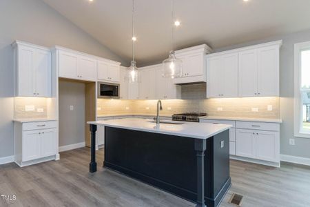 New construction Single-Family house 743 W Holly Springs Rd, Holly Springs, NC 27540 null- photo 3 3