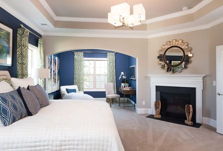 New construction Single-Family house 1089 Saltwater Cir, Johns Island, SC 29455 Duvall II- photo 14 14