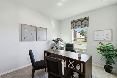 New construction Single-Family house 611 Forest Haven Dr, Van Alstyne, TX 75495 - image 18