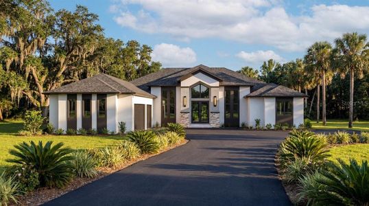 New construction Single-Family house 3654 Hidden River Ln, Tavares, FL 32778 - image