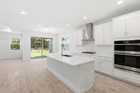 New construction Single-Family house 2357 Wise River Ln, Zephyrhills, FL 33541 plan Vero - image 7