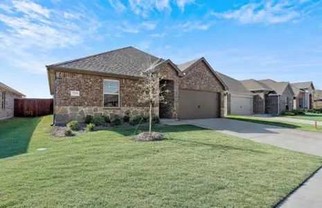 New construction Single-Family house 719 Dove Haven Wy, Lavon, TX 75166 - image