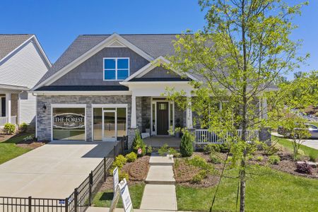 New construction Single-Family house 14012 Cameryn Elise Dr, Cornelius, NC 28031 - photo 0