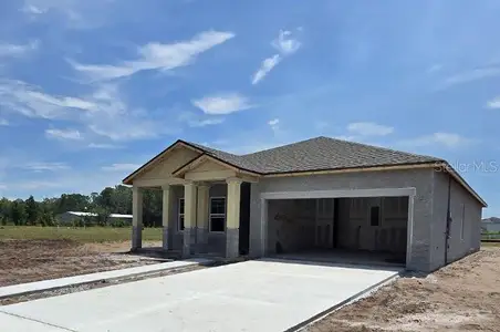 New construction Single-Family house 1623 Cane Bamboo Dr, St. Cloud, FL 34771 - image