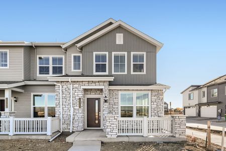 New construction Single-Family house 15202 Elizabeth St, Thornton, CO 80602 plan 305 - image