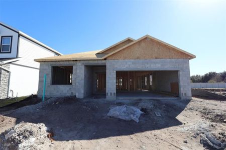 New construction Single-Family house 2667 Great Heron Ave, St. Cloud, FL 34773 plan Piedmont - image