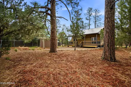 New construction Single-Family house 1979 Christmas Pine Cir, Heber-Overgaard, AZ 85933 - image