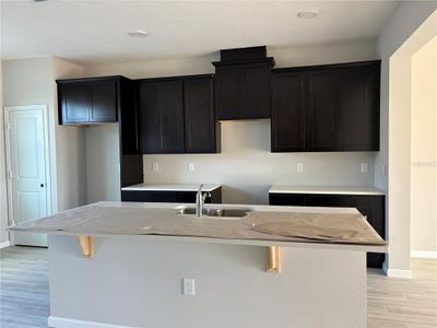 New construction Townhouse house 9356 Bolshoi Aly, Winter Garden, FL 34787 Rutland- photo 3 3