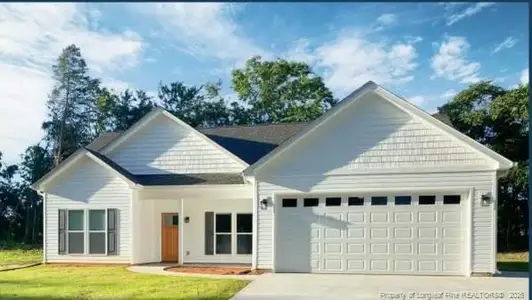 New construction Single-Family house 164 Sofias Ct, Raeford, NC 28376 - image
