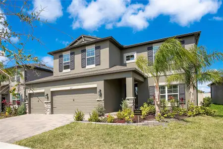 New construction Single-Family house 4917 Eagle Rock Dr, Wimauma, FL 33598 null- photo 1 1