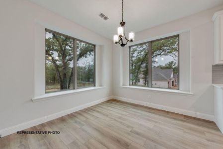 New construction Single-Family house 400 Mcalpine, Springtown, TX 76082 - image 17