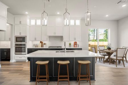 New construction Single-Family house 15715 Dandelion Dreams St, Conroe, TX 77302 plan Falcon II 3784.3 - image 8