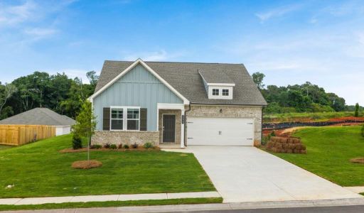 New construction Single-Family house 203 Overton Dr, Perry, GA 31069 plan Delaware - image