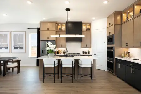 Grange 40′ Lots by J. Patrick Homes in Katy - image 19