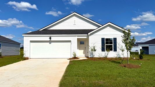 New construction Single-Family house 134 Hollingsworth Lp, Statesboro, GA 30461 plan Kerry - image