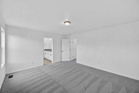 New construction Single-Family house 28405 E 4Th Ave, Watkins, CO 80137 plan Buena Vista - image 18
