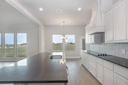 New construction Single-Family house 670 Crystal Lake Ln, Red Oak, TX 75154 CL-2510- photo 12 12