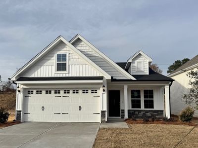 New construction Single-Family house 3631 Stedding Pl, Lexington, SC 29073 plan Brunswick - image