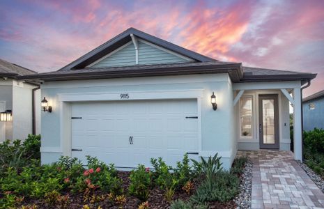 New construction Single-Family house 9114 Sunset Haven Ter, Parrish, FL 34219 plan Hallmark - image