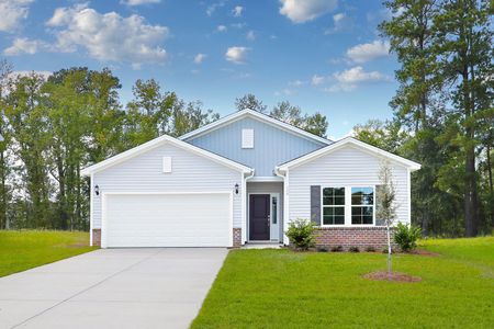 New construction Single-Family house 408 Meadow Sweet Pl, Conway, SC 29526 plan Durham - image