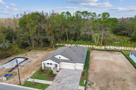 New construction Single-Family house 20219 Oriana Loop, Land O' Lakes, FL 34638 Corina  III- photo 107 107