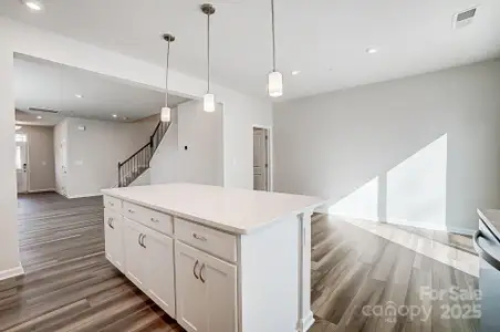 New construction Townhouse house 2470 Hedgecliff Rd, Kannapolis, NC 28083 plan Amira End - image