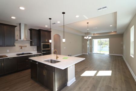 New construction Single-Family house 20339 Oriana Loop, Land O' Lakes, FL 34638 Newport II- photo 131 131