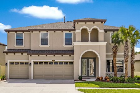 New construction Single-Family house 5379 Wolf Creek Dr, Apollo Beach, FL 33572 null- photo 0