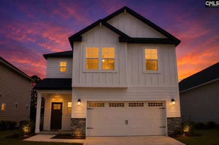 New construction Single-Family house 316 Conductor Ln, Irmo, SC 29063 - image