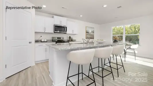 New construction Single-Family house 1036 Horizon Ln, Chester, SC 29706 plan Darwin - image 2