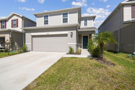 New construction Single-Family house 19043 Pebble Wood Ln, Spring Hill, FL 34610 - image