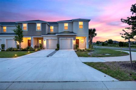 New construction Townhouse house 2339 Alee Ln, Wesley Chapel, FL 33543 - image