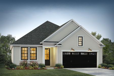 New construction Single-Family house 300 Creek Pointe Dr, Moncks Corner, SC 29461 - image