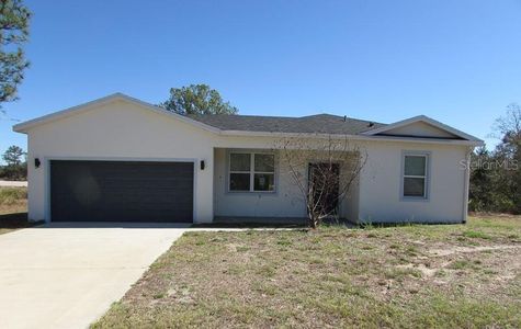 New construction Single-Family house 10 Fisher Lp, Ocklawaha, FL 32179 - image