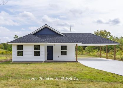 New construction Single-Family house 1000 Holubec St, Diboll, TX 75941 - image