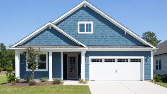 New construction Single-Family house 8644 Blue Haw Wy, Leland, NC 28451 plan Litchfield - image