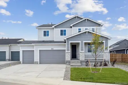 New construction Single-Family house 4856 Brangus Dr, Windsor, CO 80528 - image