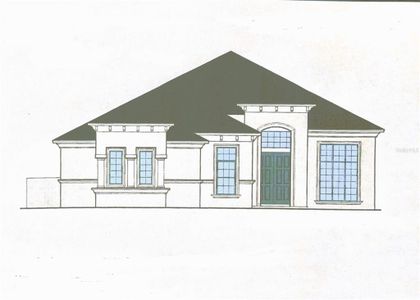 New construction Single-Family house 19 Old Oak Dr N, Palm Coast, FL 32137 - image