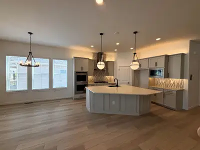 New construction Single-Family house 8895 S Riviera Wy, Aurora, CO 80016 plan C454 - image 6