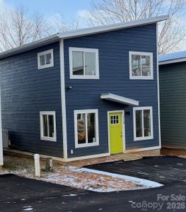 New construction Single-Family house 110 Lager Ln, Asheville, NC 28806 - image