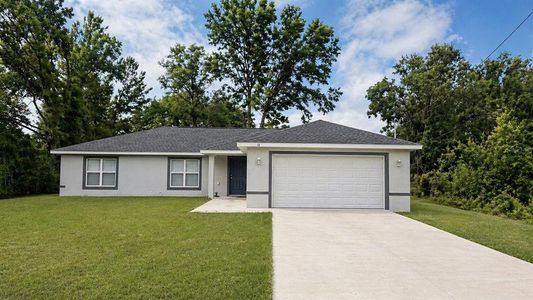 New construction Single-Family house Ocklawaha, FL 32179 - image