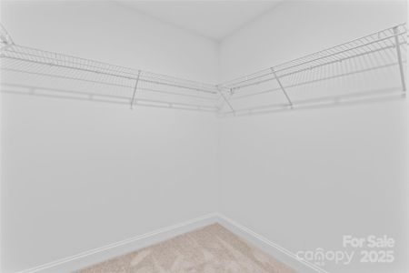 New construction Single-Family house 1560 Solitude Ct, Unit 11, Kannapolis, NC 28081 - image 12