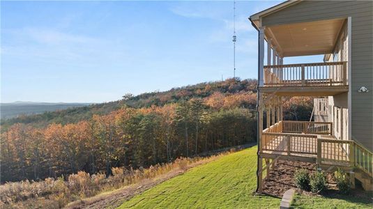 New construction Single-Family house 231 Laurel Vista Drive, Canton, GA 30114 Fullerton- photo 47 47