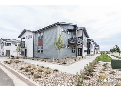 New construction Multi-Family house 2120 Falling Leaf Dr, Unit 1, Windsor, CO 80550 Ford- photo 0