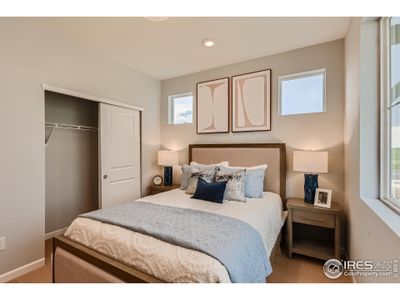 New construction Single-Family house 1821 Cord Grass Dr Ft, Fort Collins, CO 80524 - image 19